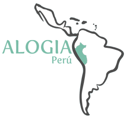 Mapa Peru;